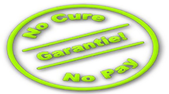 No Cure No Pay Laptop Reparatie Eindhoven